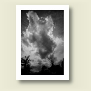Untitled, 2010