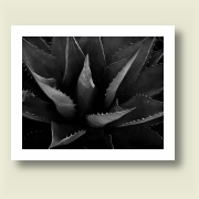 Untitled 2, 2008