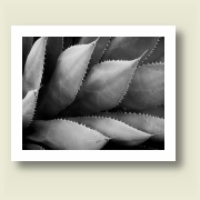 Untitled 5, 2009