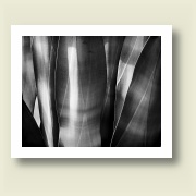 Untitled 6, 2009