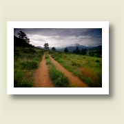 Untitled, 2010