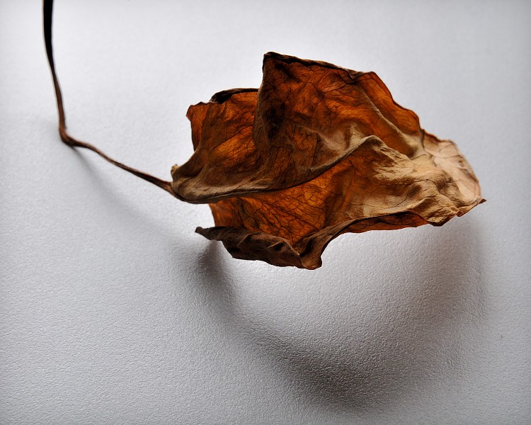 Untitled, 2009