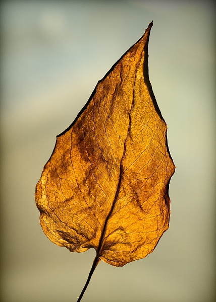 Untitled, 2011