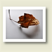 Untitled, 2009