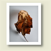 Untitled, 2009