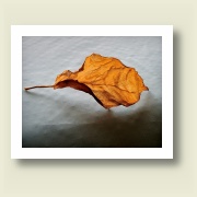 Untitled, 2009