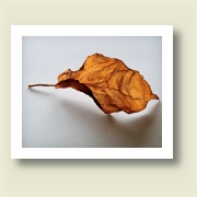 Untitled, 2009
